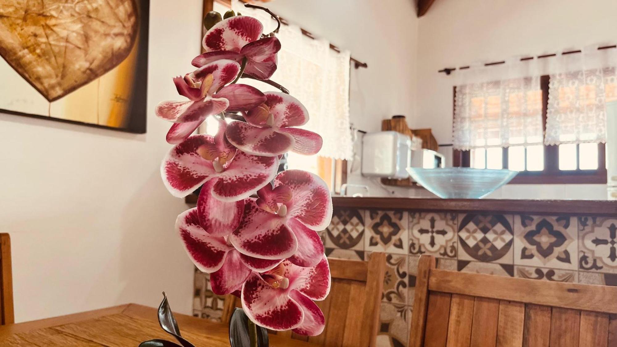 Casa Temporada Ilhabela别墅 外观 照片